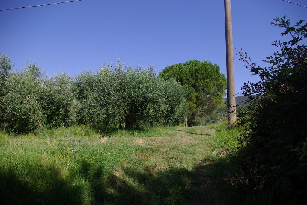 Villa Roccaccia Tuoro sul Trasimeno Exterior photo